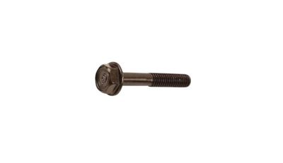 Bolt Flange Bolt Flange
