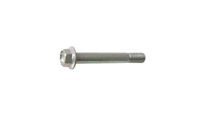 35. Bolt Socket