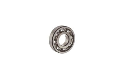 19. Bearing SPC