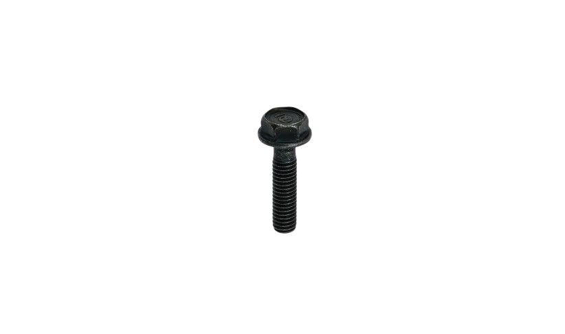 23. Bolt Cap