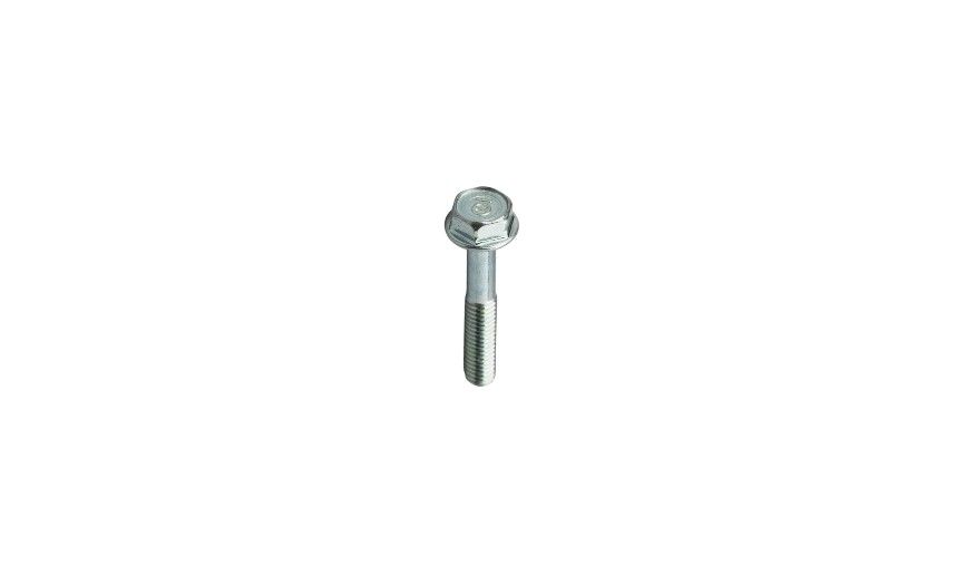 7. Bolt Flange