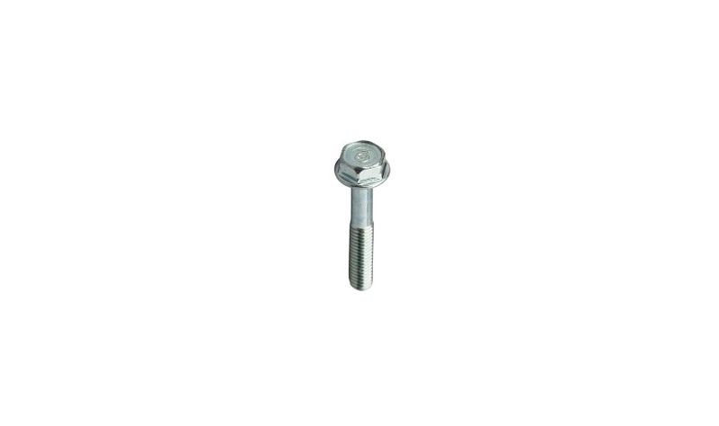 7. Bolt Flange