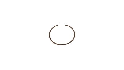 15. Circlip, Oil Seal