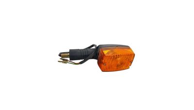 14. Winker Assy L.RR