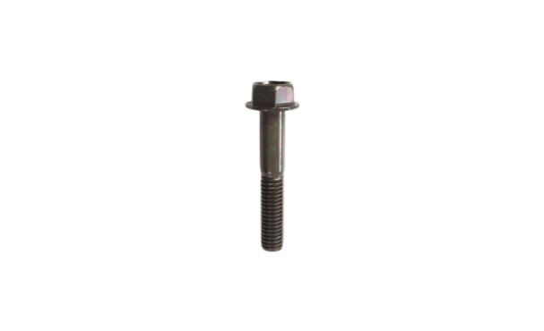 25. Bolt, Flange