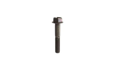 25. Bolt, Flange