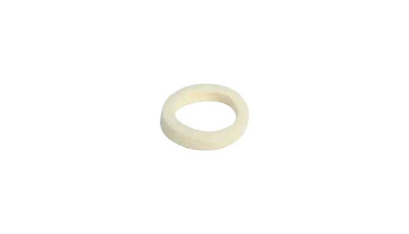 Dust Seal