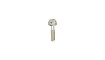 Bolt Flange
