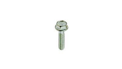 27. Bolt, Flange