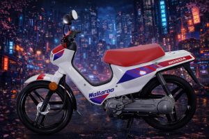 Honda Wallaroo Parts