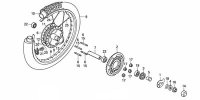 Rear Wheel
