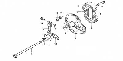 Rear Brake Panel