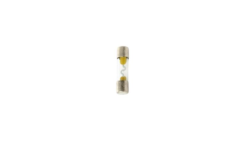 19. Glass fuse
