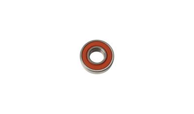 Bearing Wheel