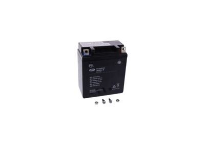 12. Gel Battery