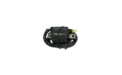 8. Ignition Coil