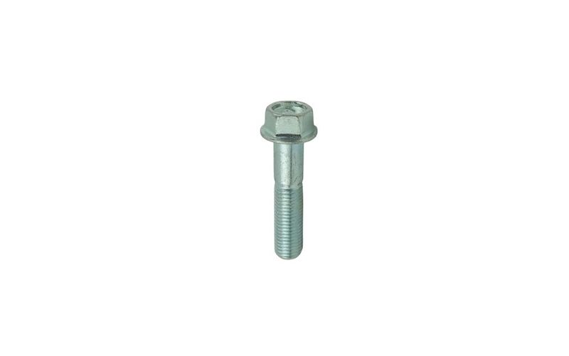 Bolt Flange