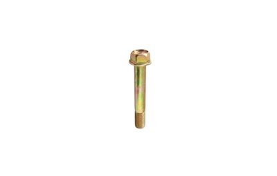 Bolt Flange