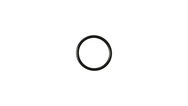 31. O-ring