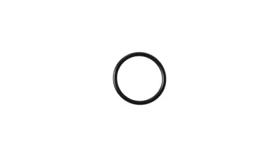 31. O-ring