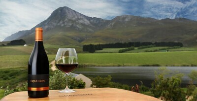 Creation Pinot Noir