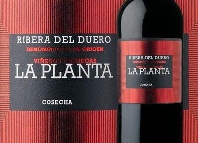 Arzuaga La Planta