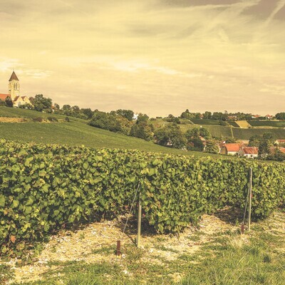 Champagne Bernard Remy Grand Cru