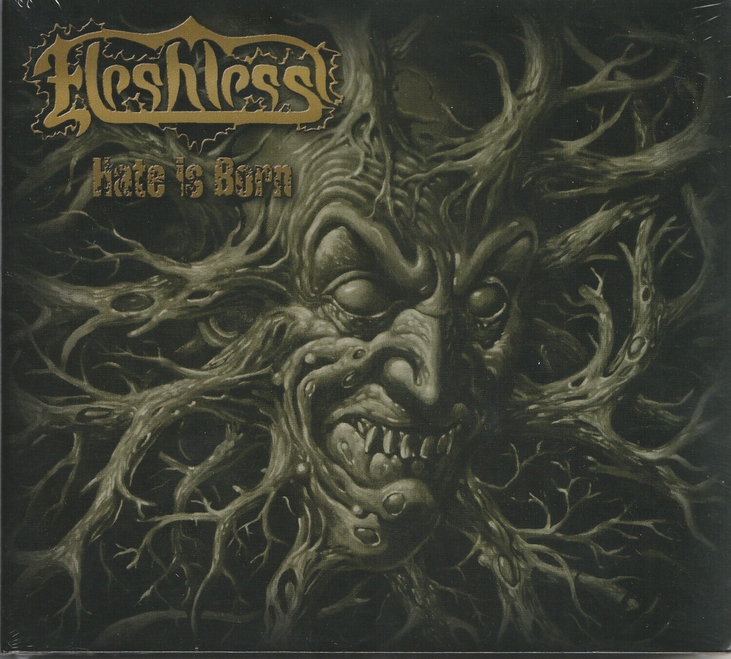 fleshless : hate is born