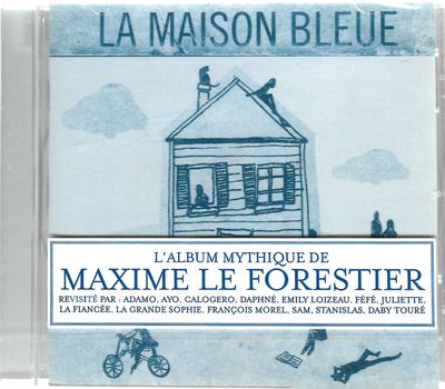 la maison bleue