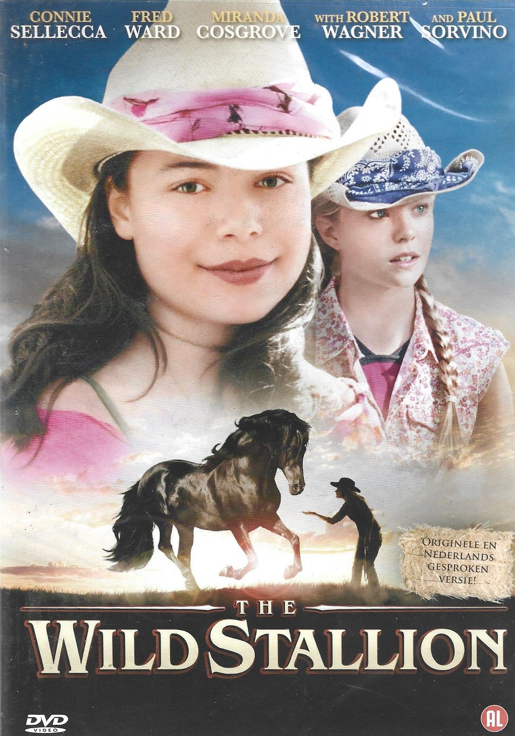 the wild stallion