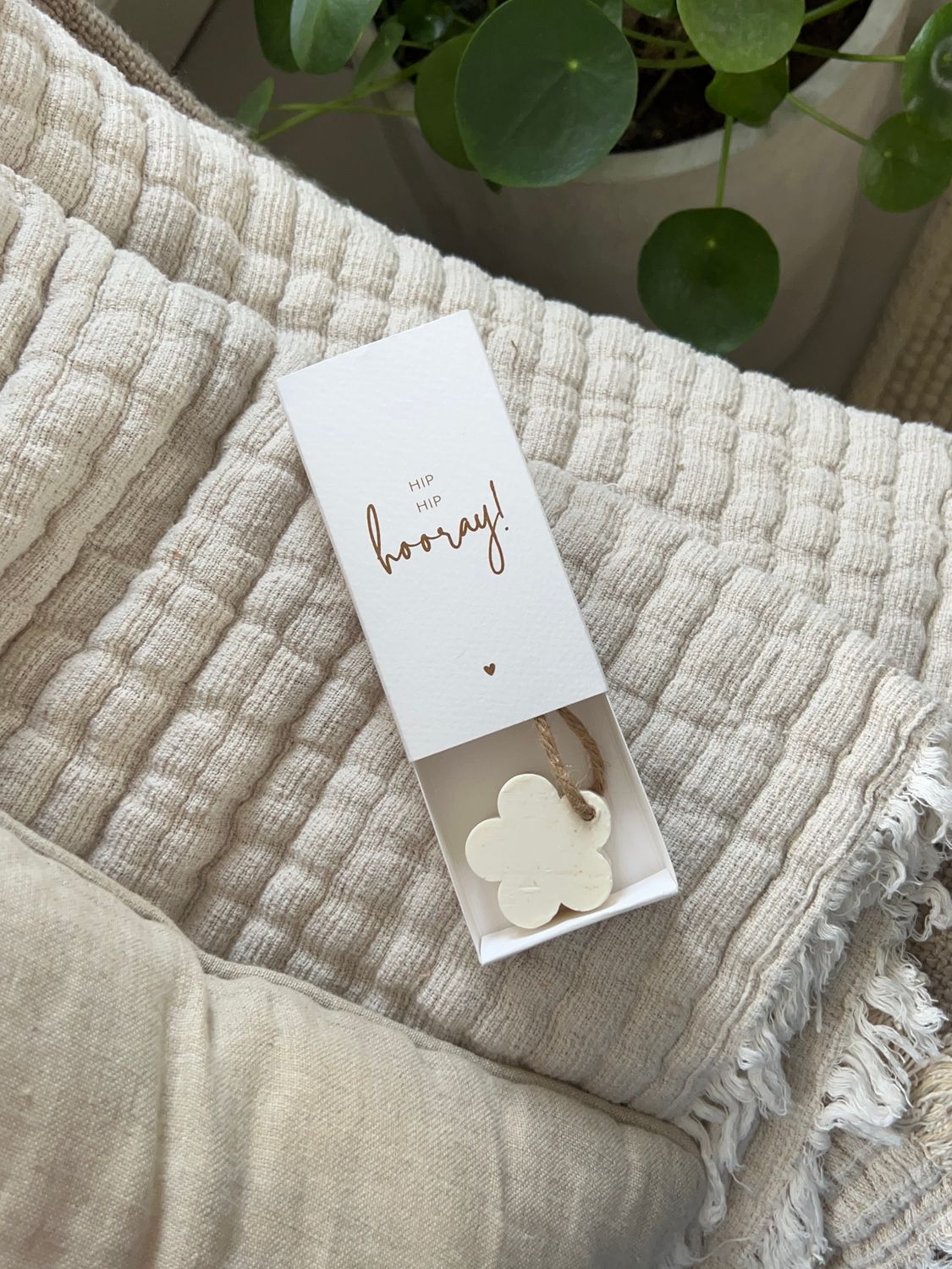 Hip hip hooray / giftbox met zeepje