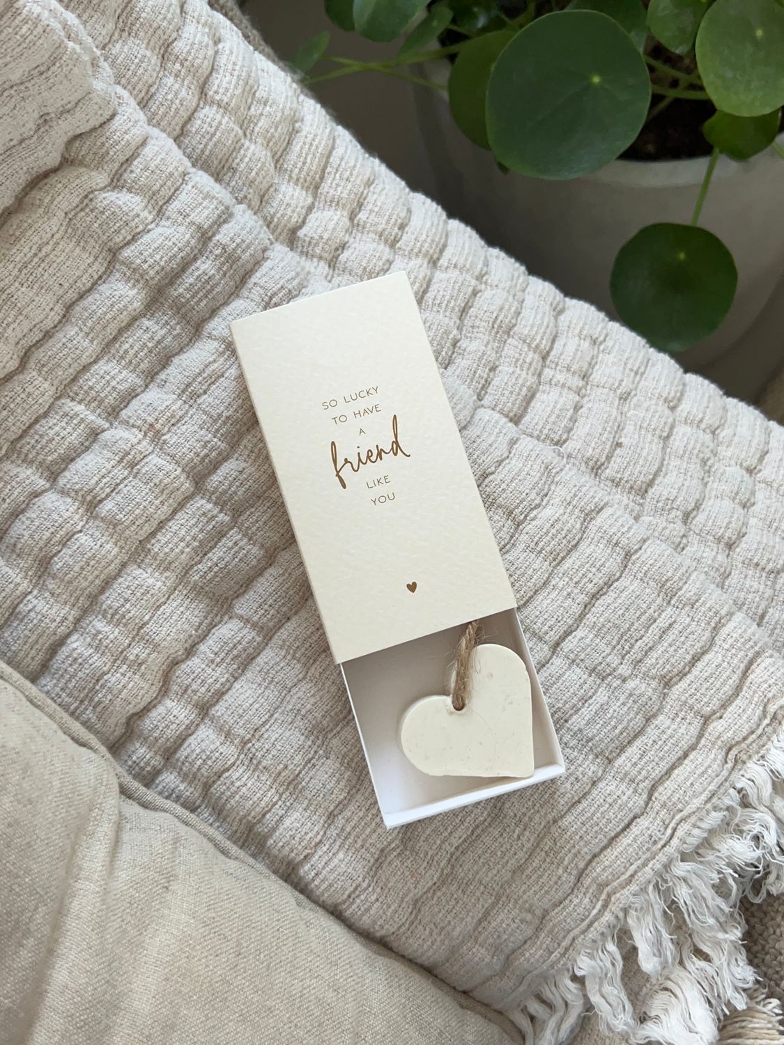 So lucky to have a friend like you / giftbox met zeepje
