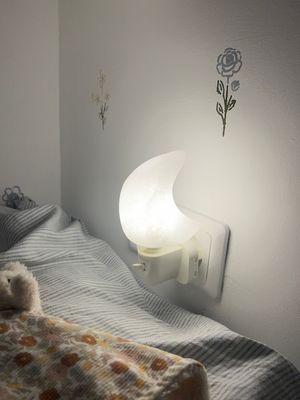 Himalaya zouten nachtlampje (wit licht) (maan) Himalaya zouten nachtlampje (wit licht) (maan)