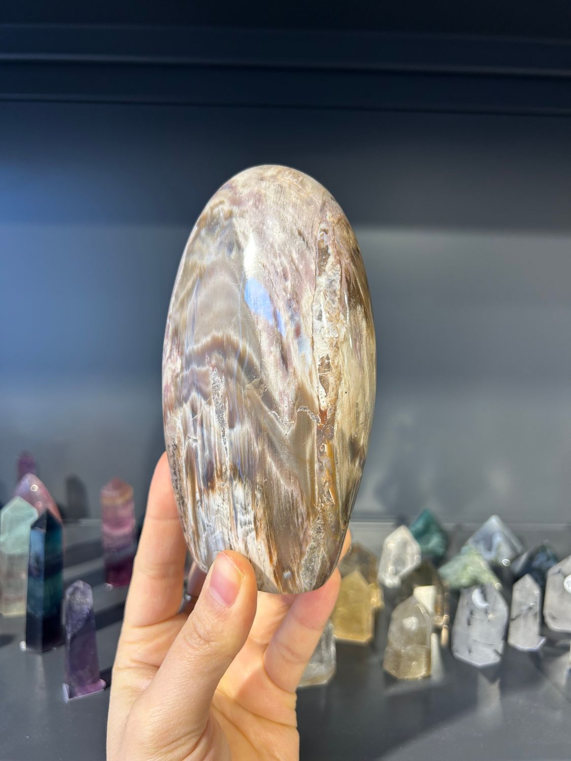 Prachtige versteend hout sculptuur
