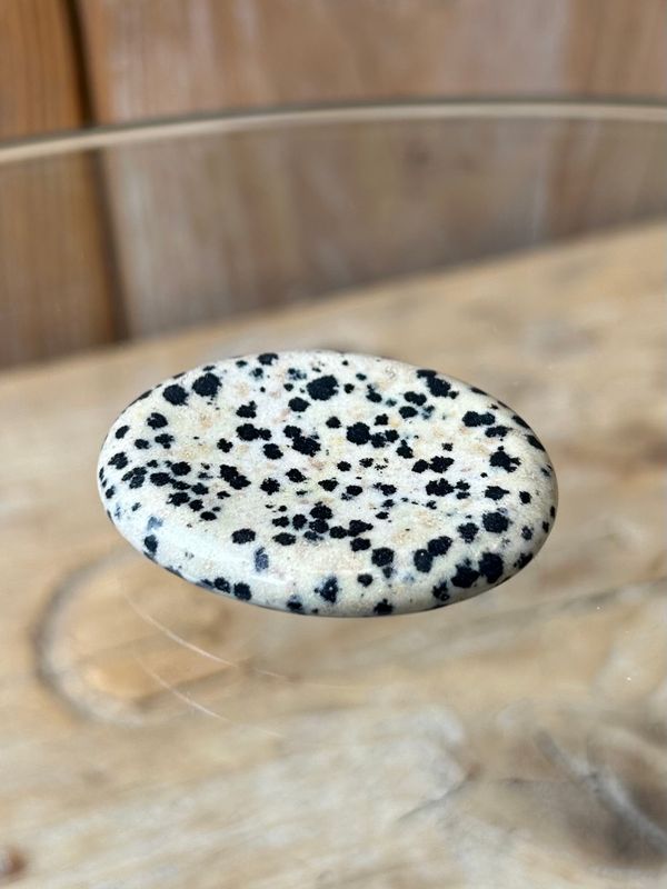 Worrystone/duimsteen van dalmatiër jaspis