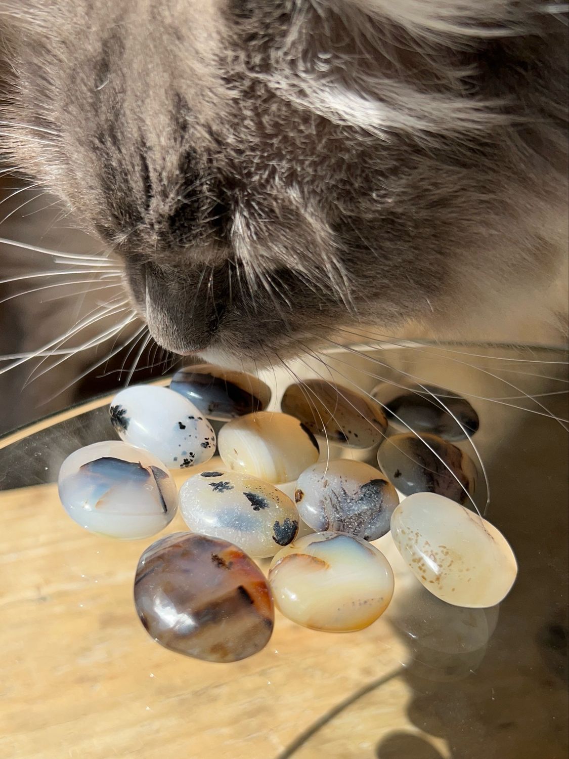 Dendriet Trommelsteen (veilig voelen, rust, helende werking baarmoeder)