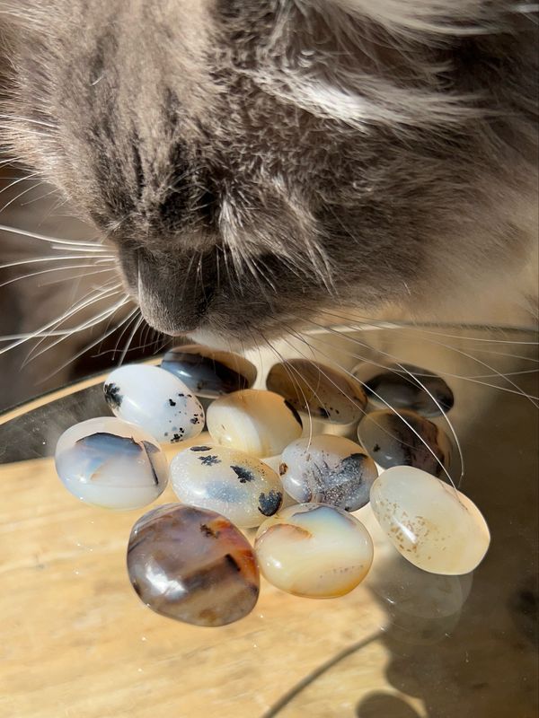 Dendriet Trommelsteen (veilig voelen, rust, helende werking baarmoeder)