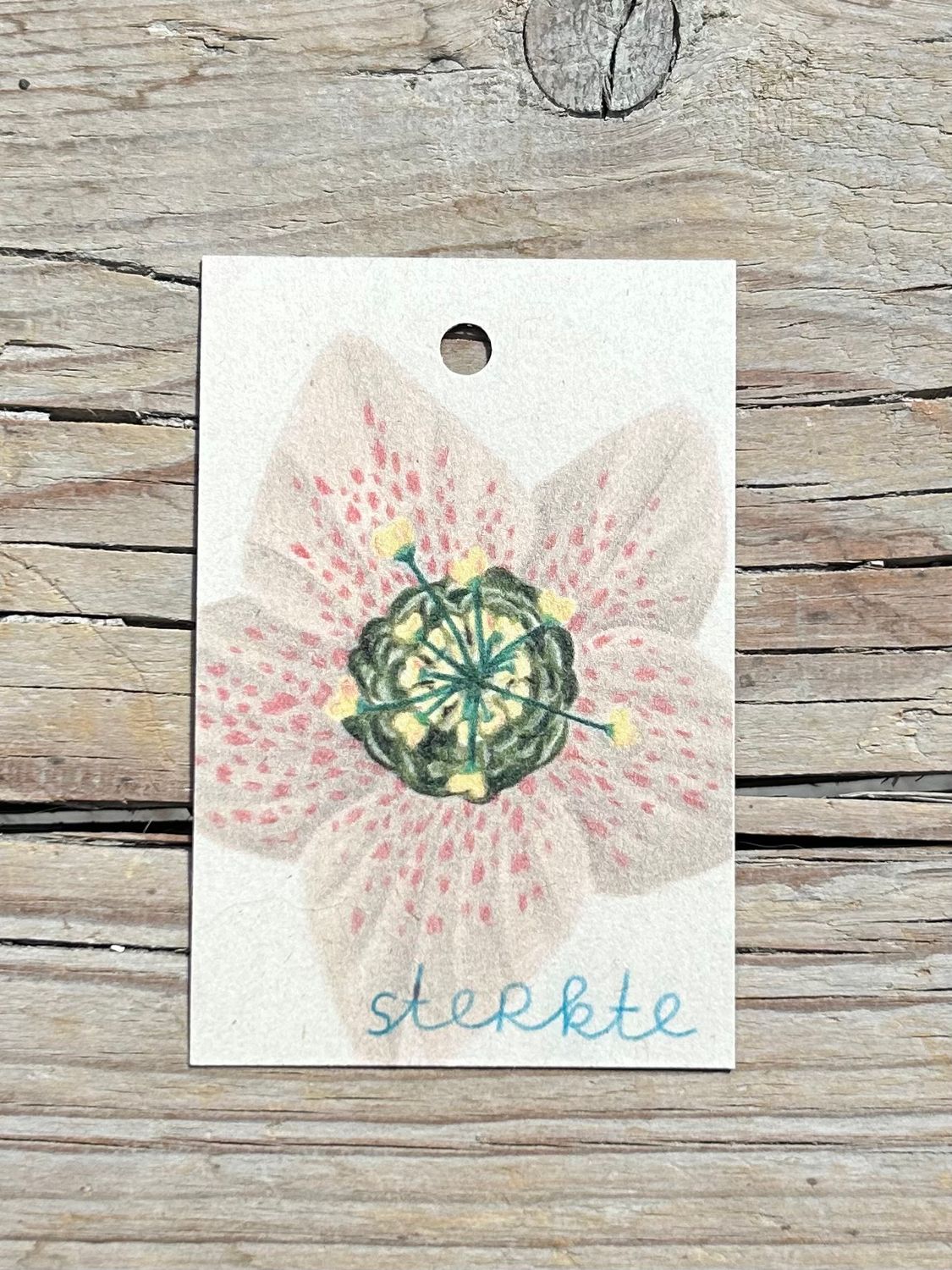 Kaartje 'sterkte'