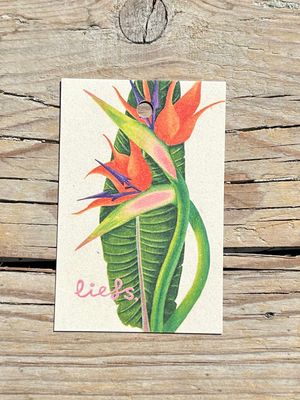 Kaartje 'liefs' Kaartje 'liefs'