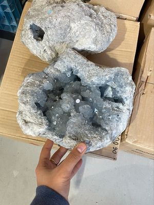 Blauwe celestien 9,7KG Blauwe celestien 9,7KG