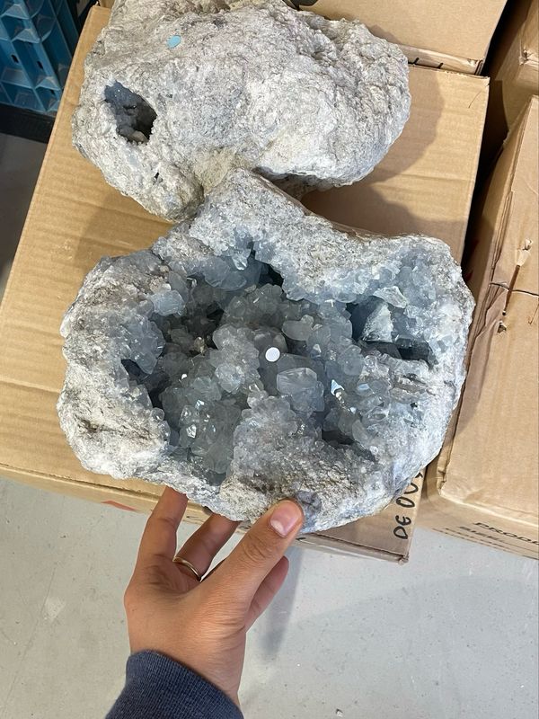 Blauwe celestien 9,7KG