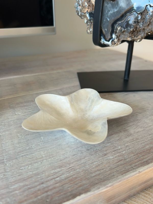 Schaaltje van schelp