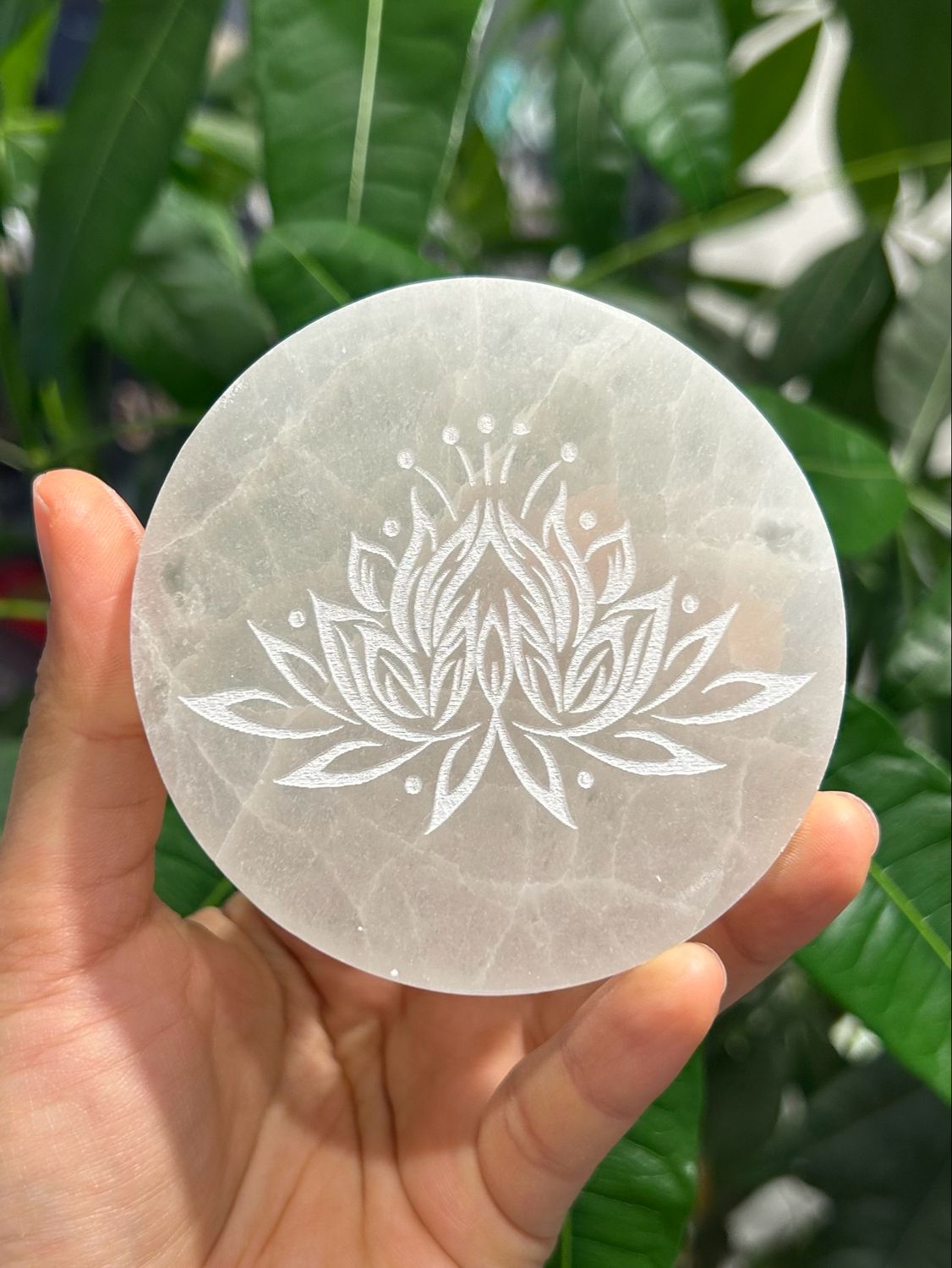 Seleniet round disc lotus