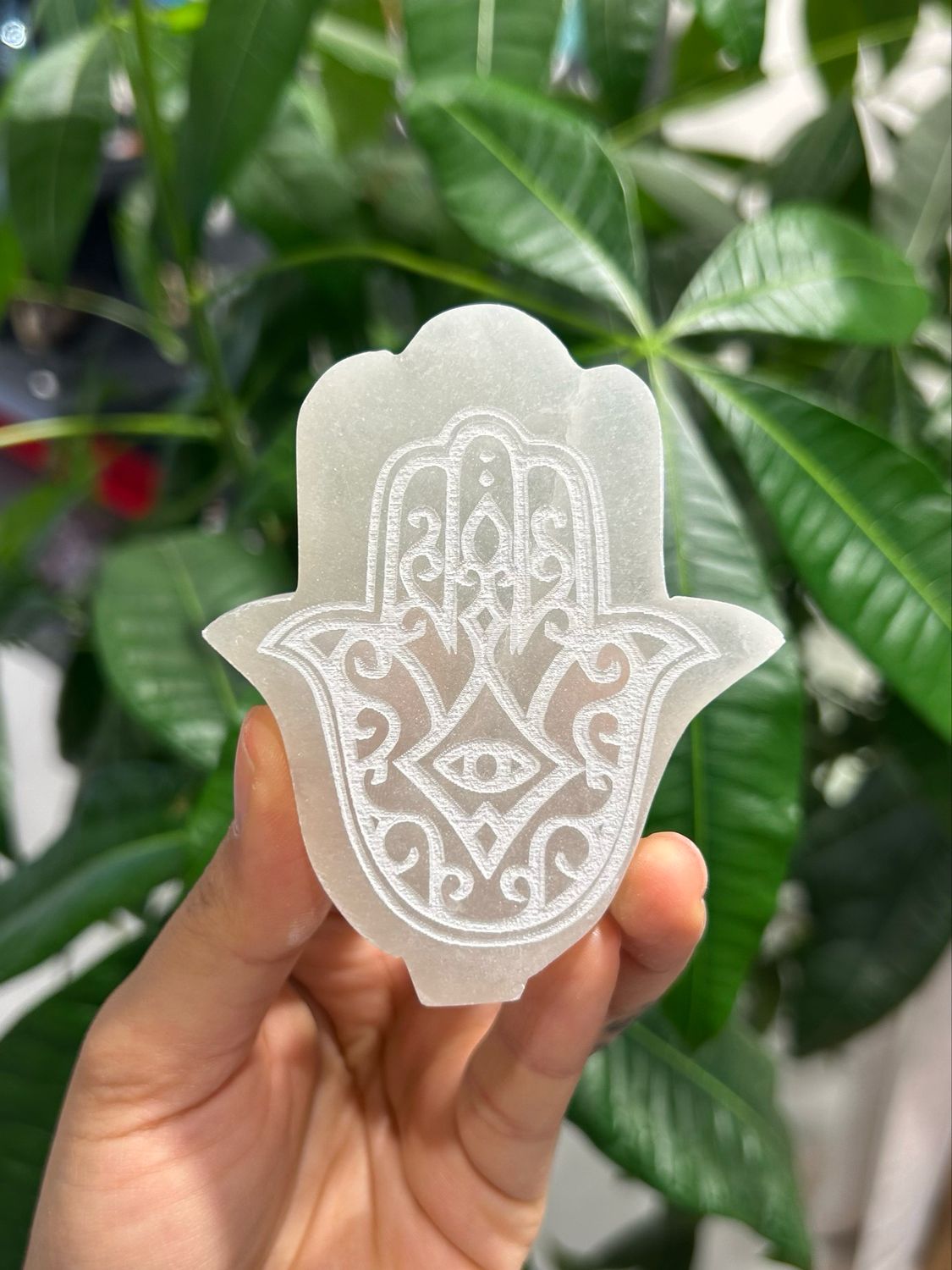 Seleniet hamsa ?