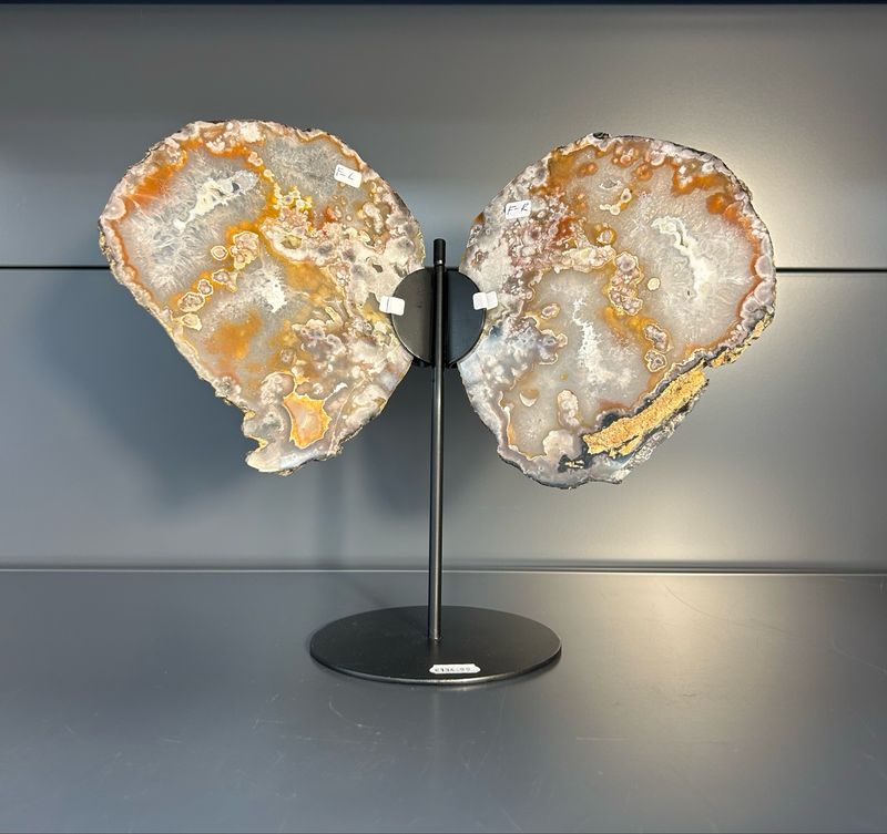 Grote vlinder op standaard Grote vlinder op standaard