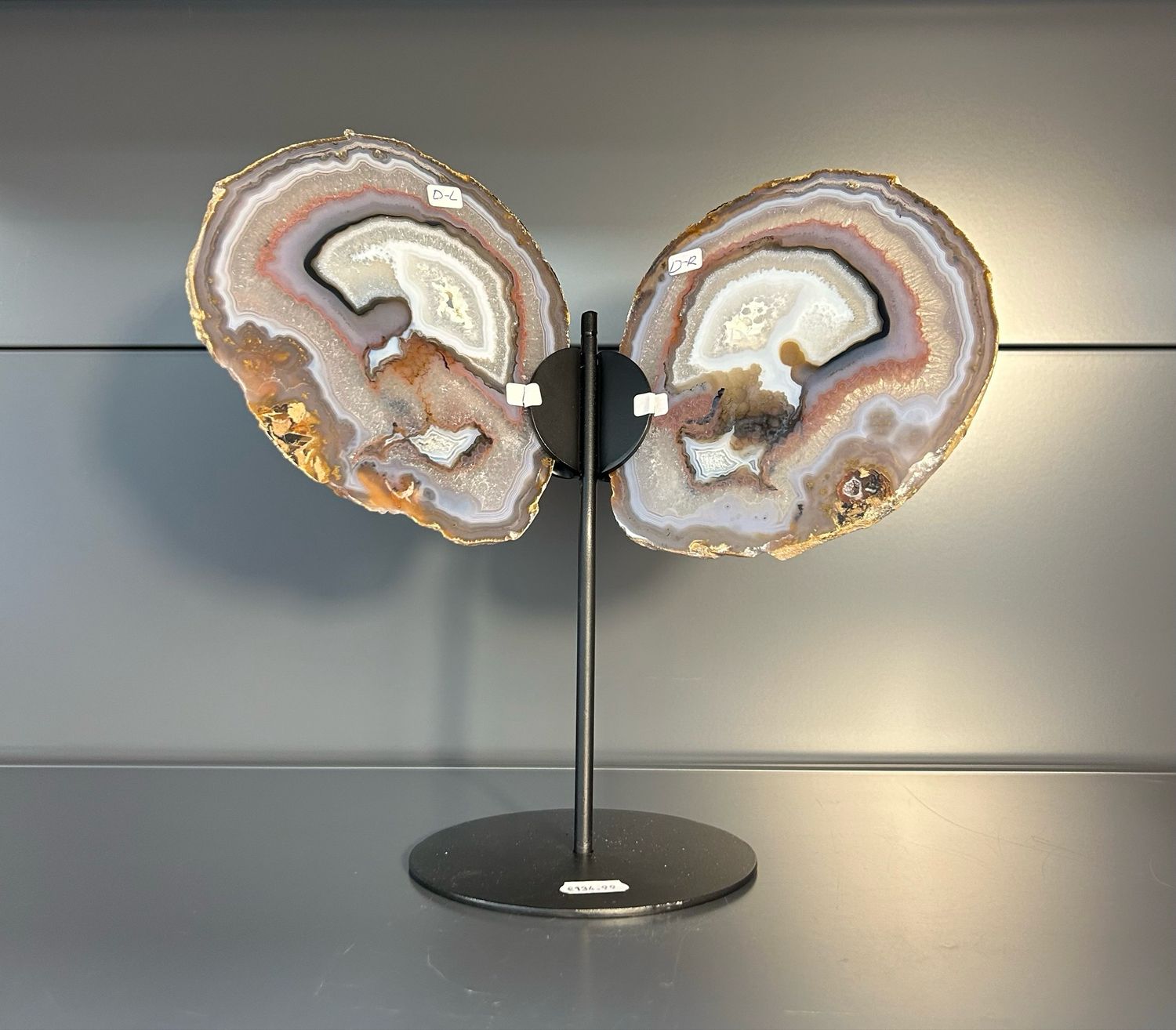 Grote vlinder op standaard