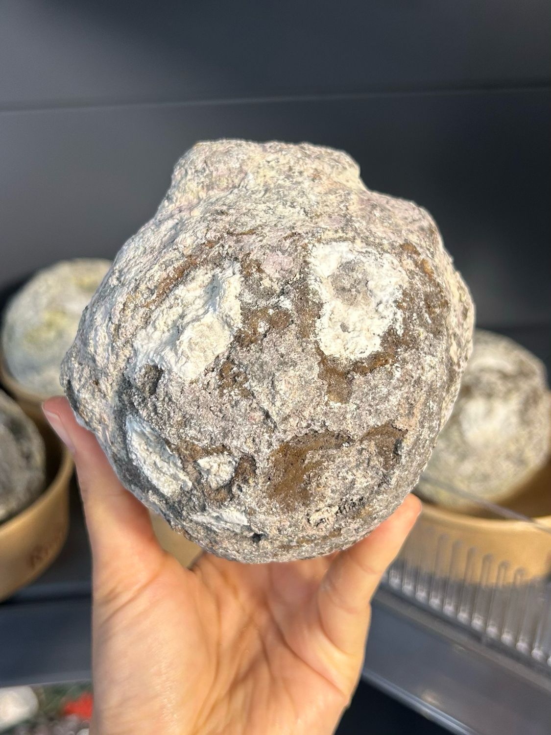 Special L/XL - Mexicaanse geode!