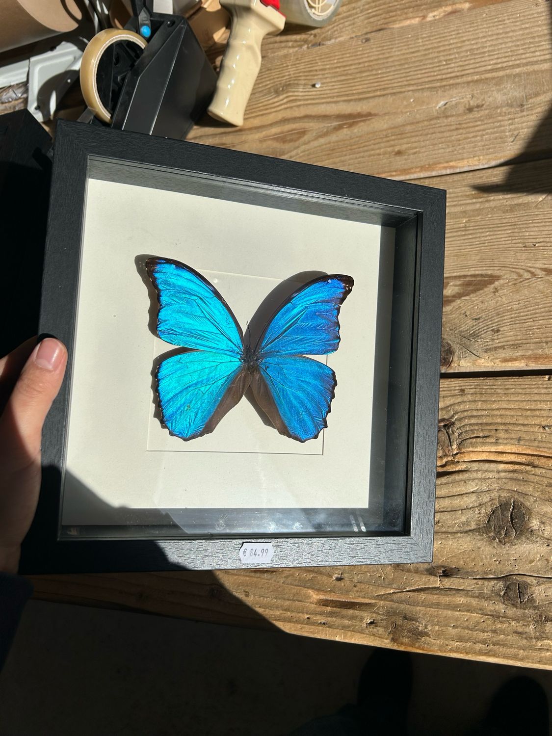 Vlinder in lijst (25x25cm) Vlinder in lijst (25x25cm)