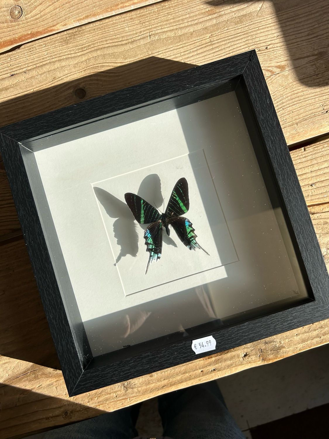 Vlinder in lijst (25x25cm) Vlinder in lijst (25x25cm)