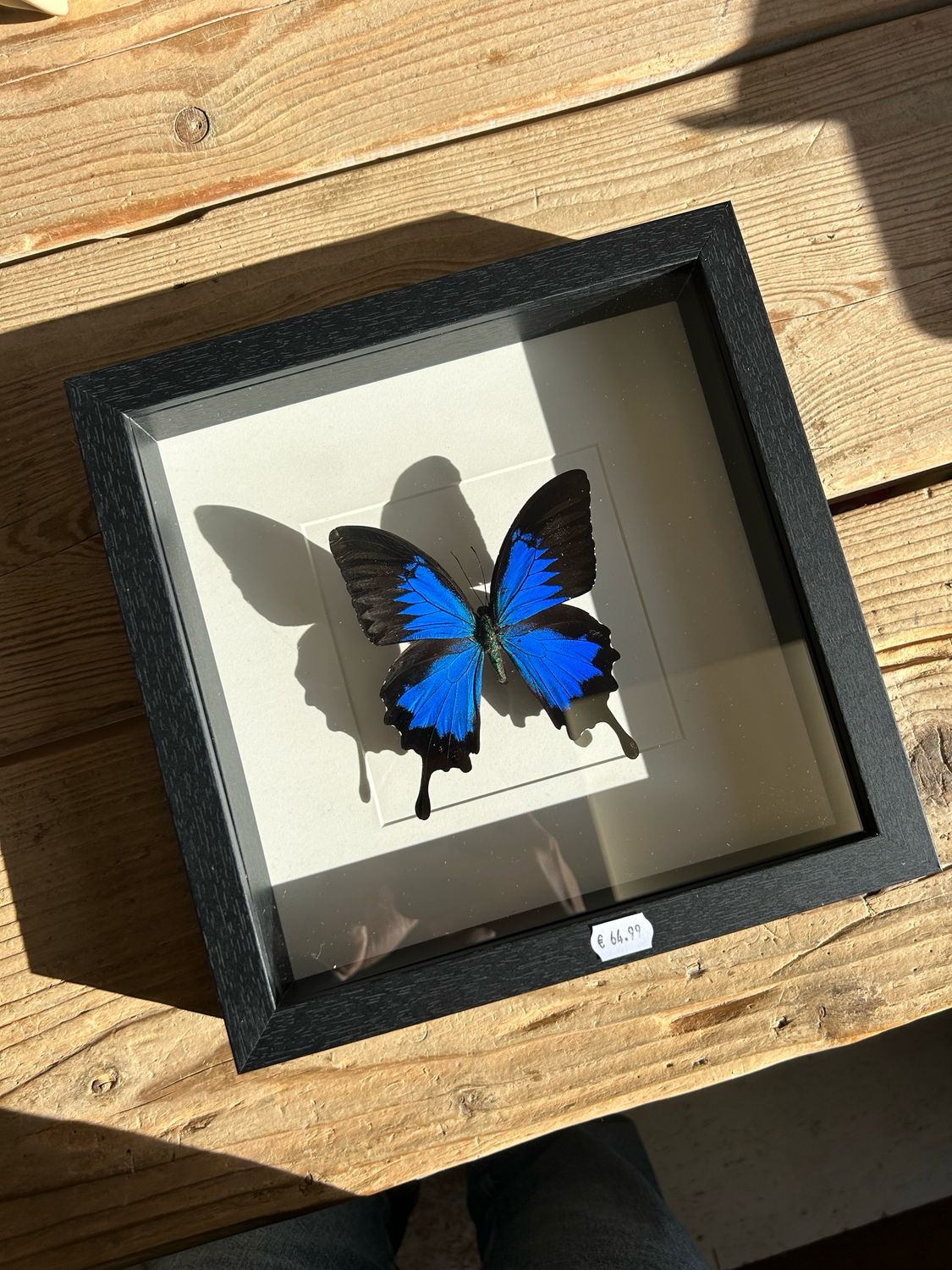 Vlinder in lijst (25x25cm) Vlinder in lijst (25x25cm)